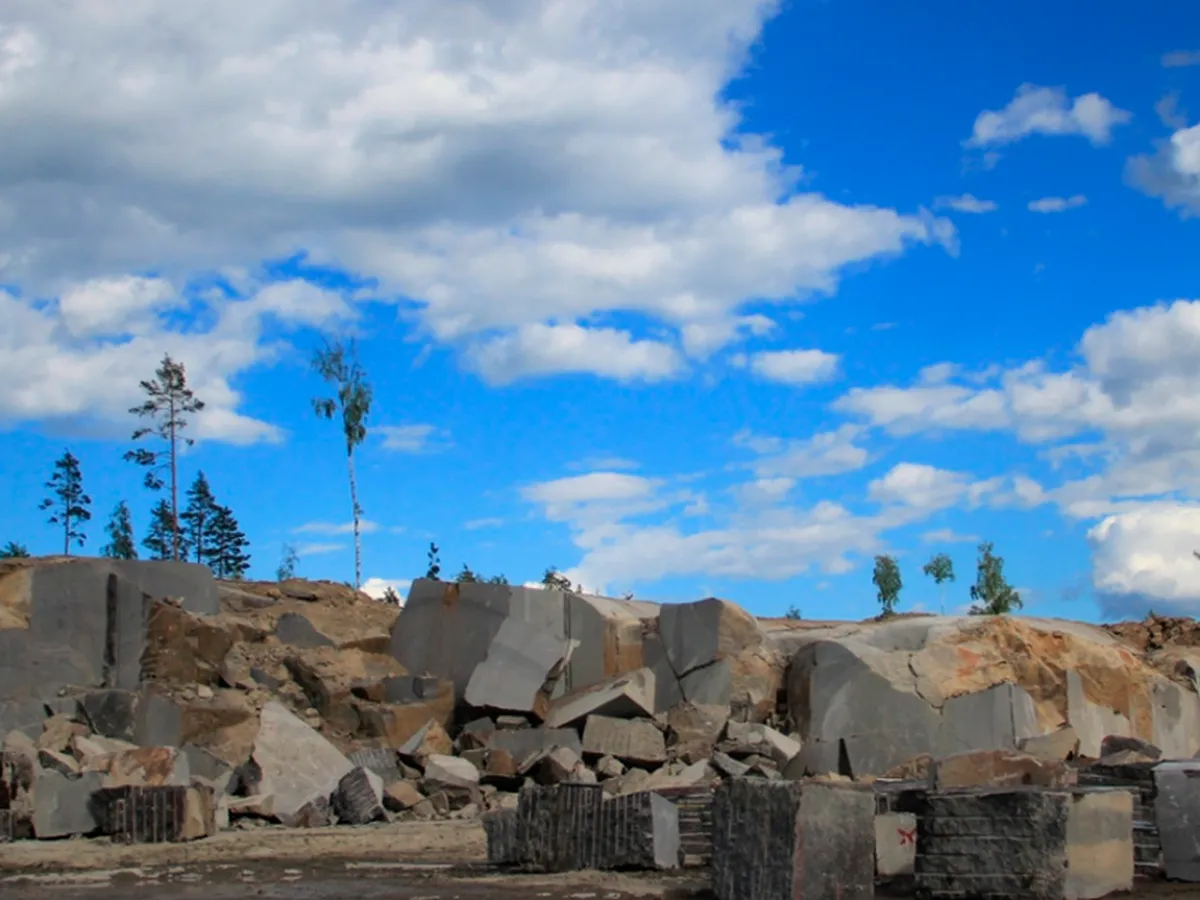 Елизовское-1