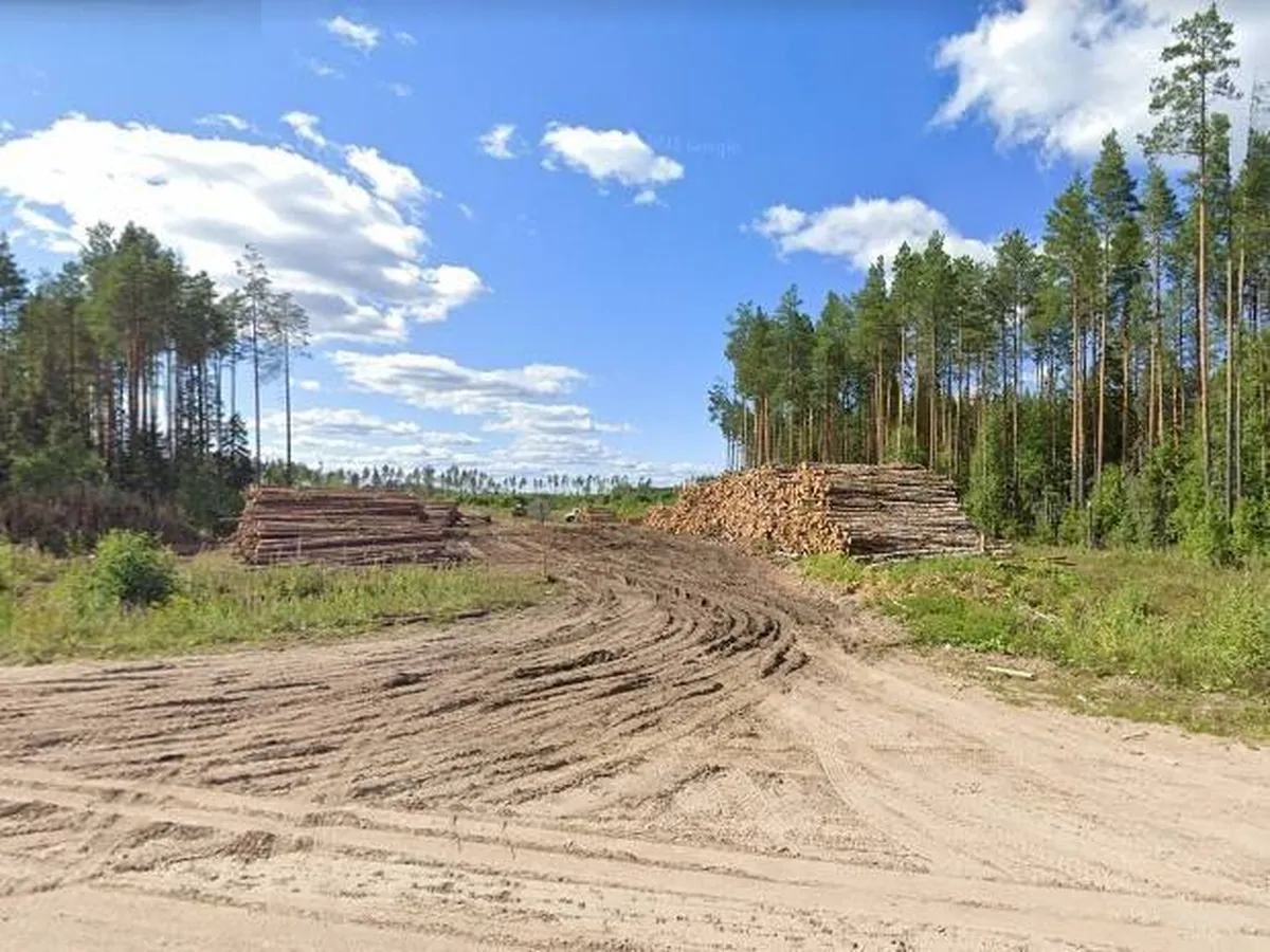 Медвежье-2