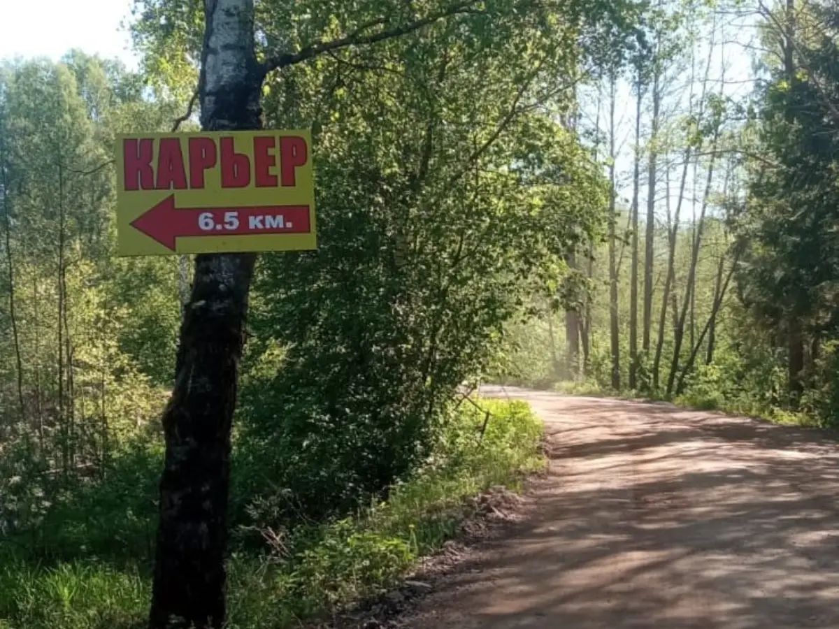 Ветчинские торфяные болота