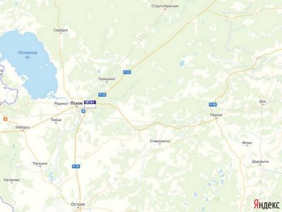 Весовой контроль в Псковской области