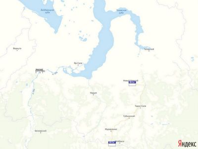 весовой контроль в Ямало-Ненецком АО
